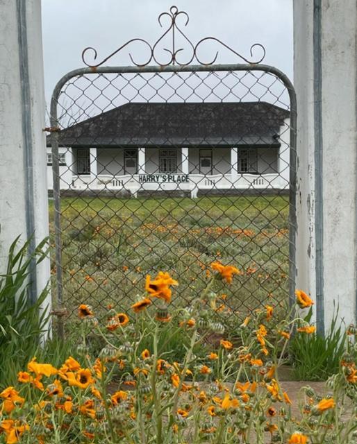 Harry'S Place Guesthouse Kamieskroon Bagian luar foto